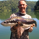 Tim's catch - 5kg Giant Snakehead