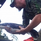 A snakehead while fishing solo