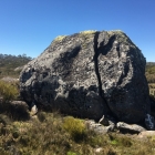 A rock.