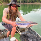 You guessed it.. another Snakehead