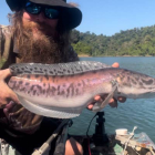 Nice colours in these smaller fish