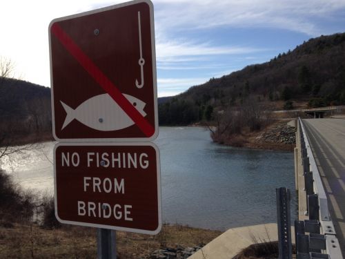 no fishing