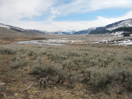 Lamar valley 2015 190-2