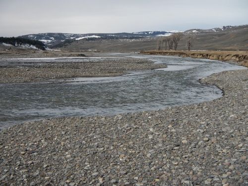 Lamar valley 2015 194-2