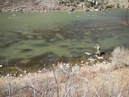 Lamar valley 2015 136-2