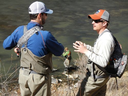 Lamar valley 2015 142-2