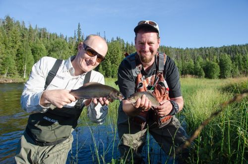double domestic grayling