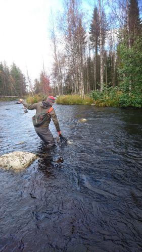 landing trout