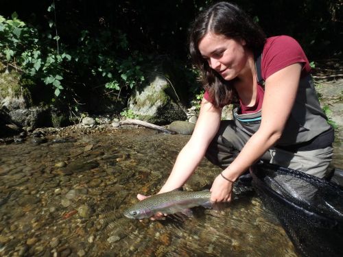 14324342_10154452546561303_5139569296721613030_o