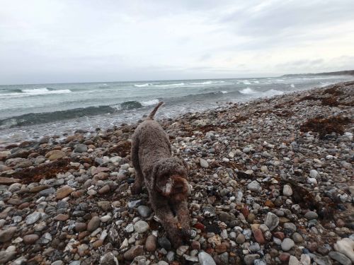 PC230748 Kopie Kopie