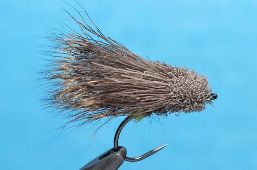 31357558_10156265986976445_2526156023836704768_o