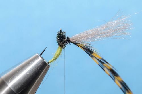 31301939_10156265987446445_2777388782901526528_o