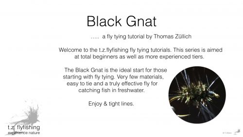 Black Gnat.001